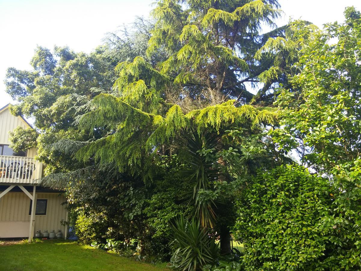 Hamilton Golf Lodge מראה חיצוני תמונה